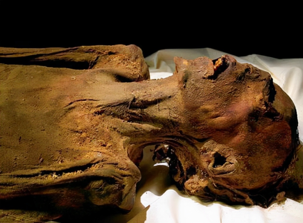 听过埃及金字塔的就一定听过一些木乃伊的事情,最开始发现木乃伊是