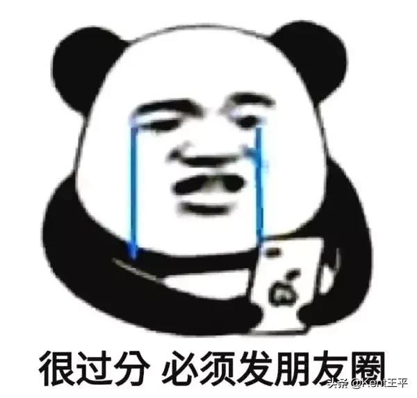 身为海洋食物链“顶端杀手”的它,竟对人类有蜜汁好感?