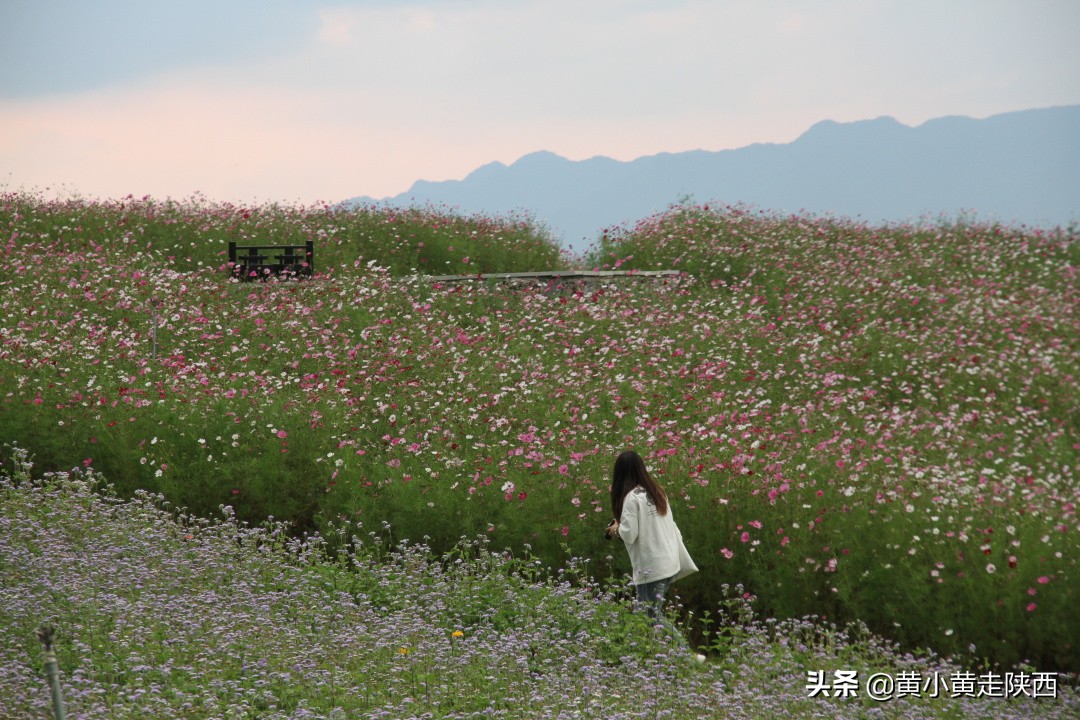 秦岭骨灰级自驾穿越线路，从西安到丹凤，翻越两条山脉一片盆地