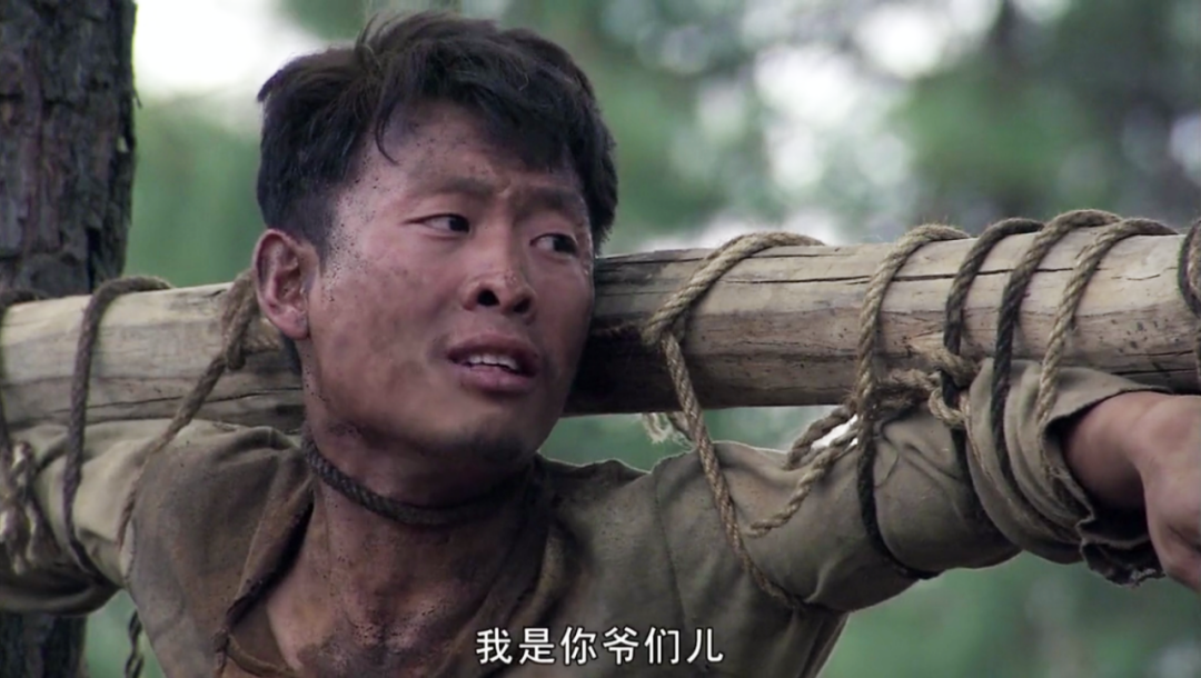好看的电视剧豆瓣高分（推荐10部评分最高的电视剧）