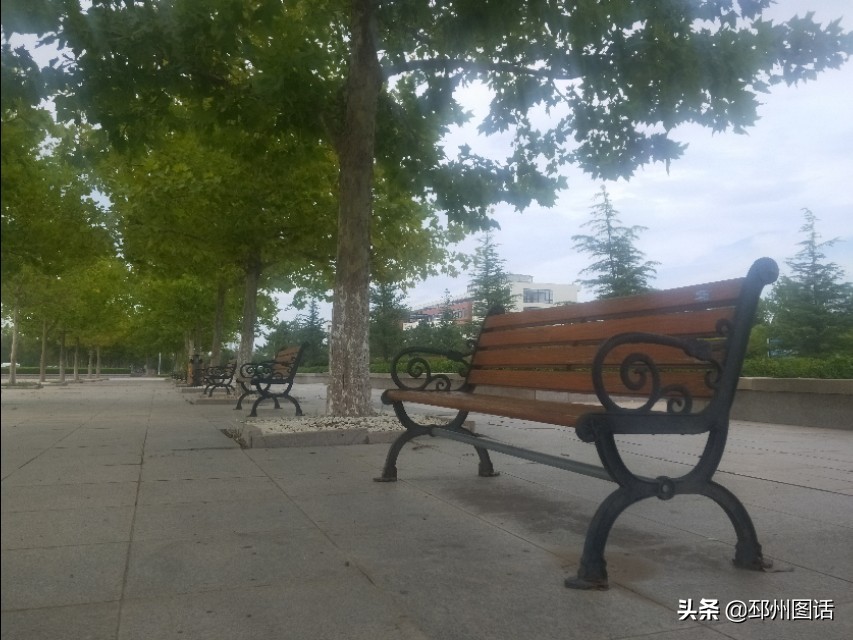 美丽的校园，威海职业学院