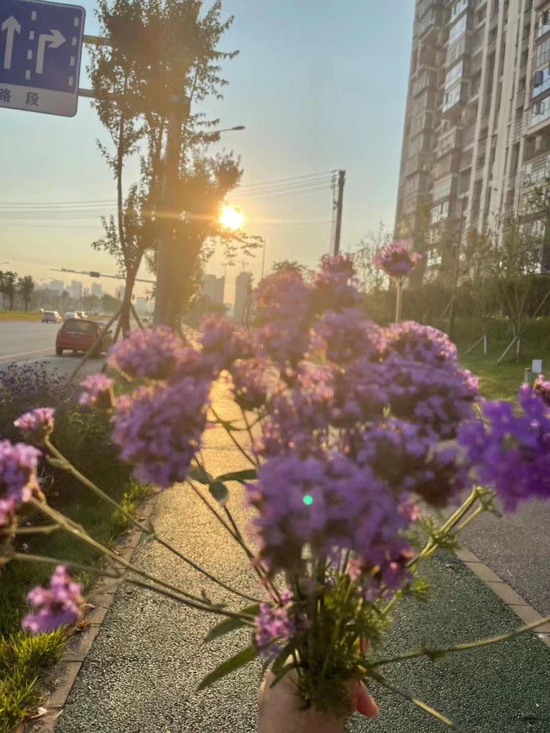 秋日清晨，逸起来晨跑，享受秋高气爽好时节