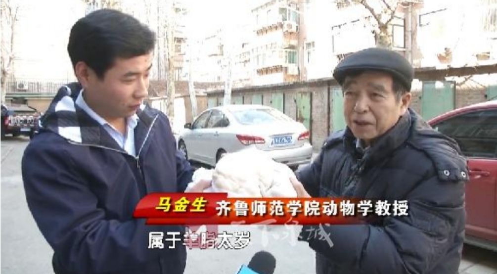 不是动物不是植物不死不灭，"太岁"为什么如此逆天？