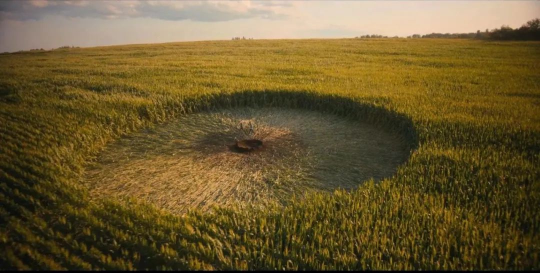 网飞空降奇幻剧：七个娃七种能力，还说不是美国版的《葫芦娃》