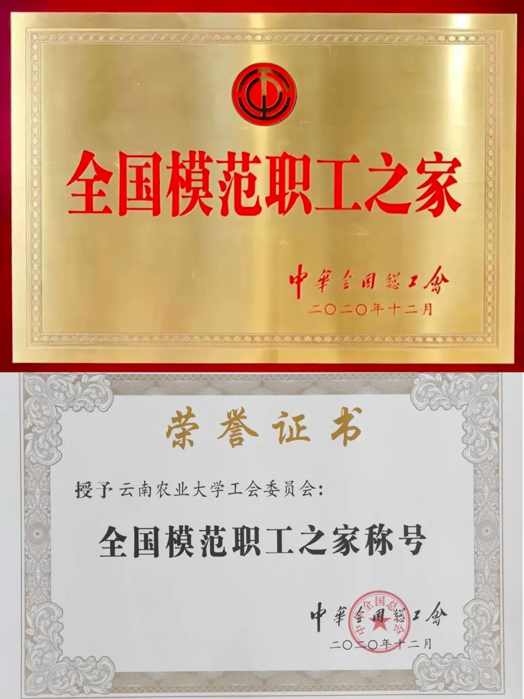 国家级一流！厉害了我的云南农大