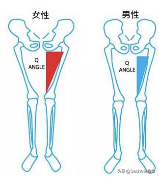 久宅家中常坐不動，大腿肉肉開始瘋長，針對大腿內側贅肉瘦身法