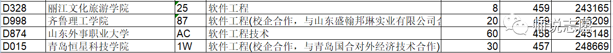 山东省2021年本科批软件工程录取情况表