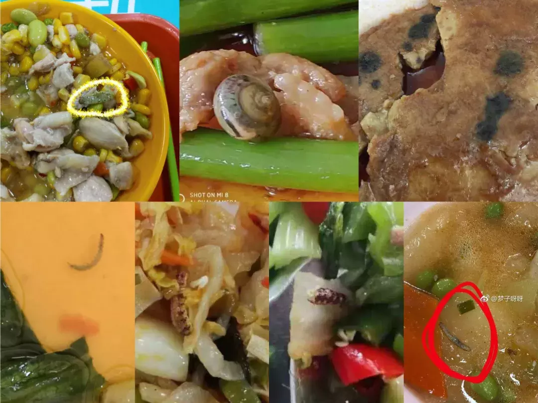 不只是中小学，大学也应该实施”校长陪餐制度”