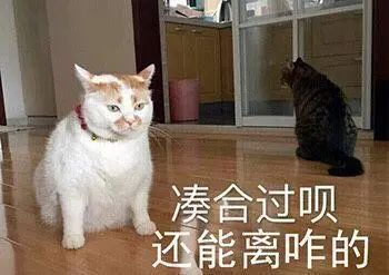 江苏中小学、大学寒假时间表出炉！南京这所高校竟然放51天？