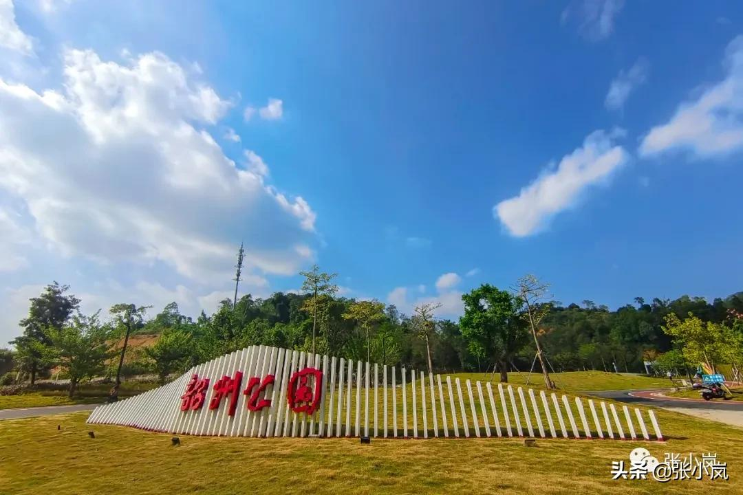 藏在韶关市中心森林里的儿童公园，大部分人都不知道，光速安排