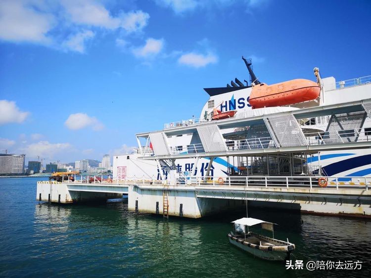 西沙~南海中的一片莲