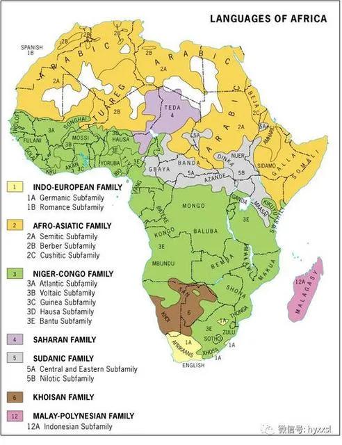 非洲人说什么语言,非洲人说什么语言为主