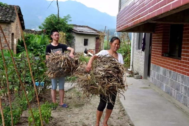 农村男孩父母双盲，从小做家务没用过手机，高考685分上清华