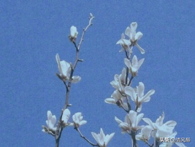 如何委婉的说一个人胖搞笑说说