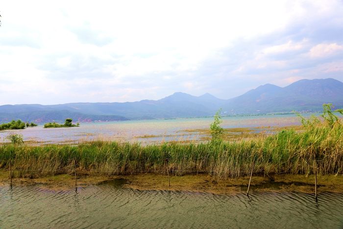 丽江拉市海，骑马走茶马古道，赏鸟走观湖长廊