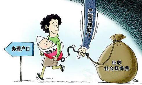 什么是社会抚养费,