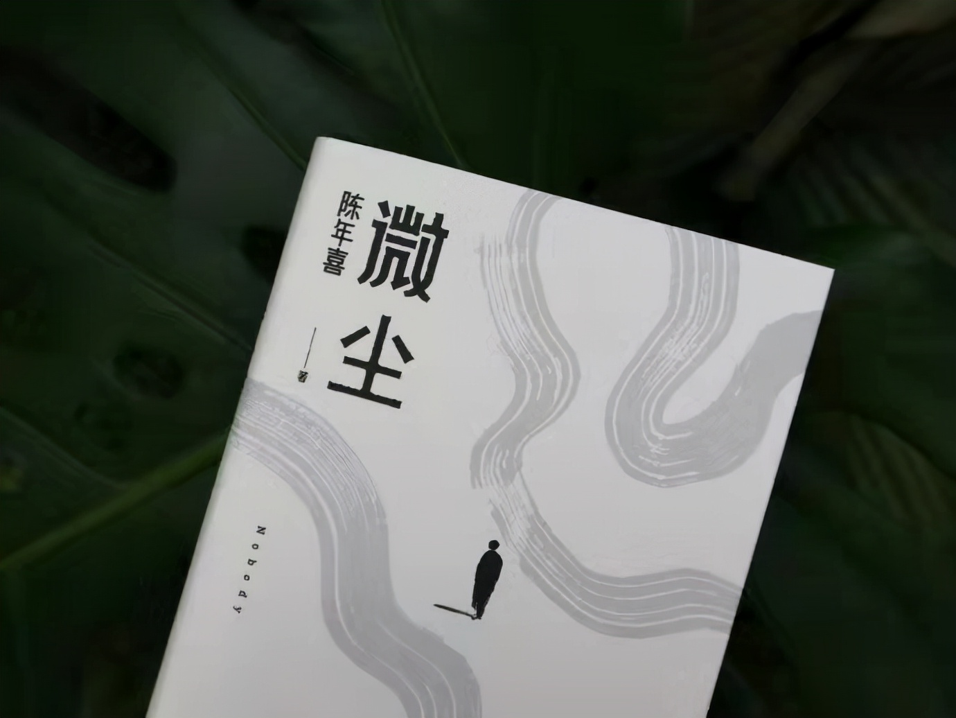 生命如微尘，虽微小，但自有它伟大之处