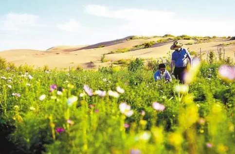 中国的三大黑科技：液态金属有生命、沙漠加水变良田、蚊子在绝育