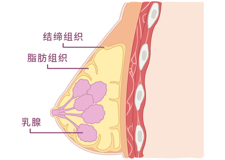 女生为什么喜欢捏自己的小兔兔 女生小兔兔到底有多软