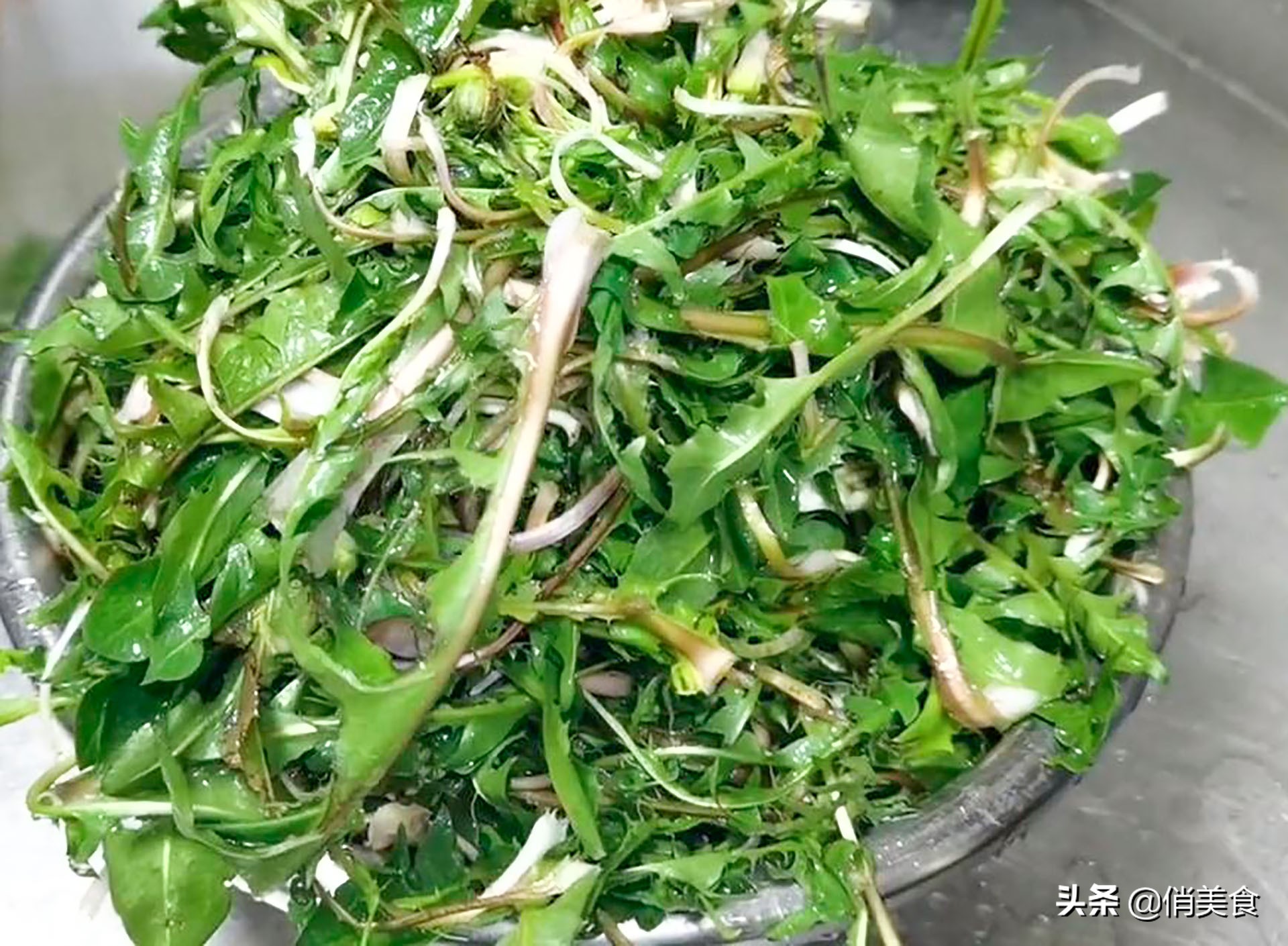 外婆私藏多年炒制蒲公英茶的经验，无苦涩只有茶香，放半年不会坏