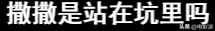 世界杯主持人骂人(这些央视主持人的翻车现场不要太精彩)