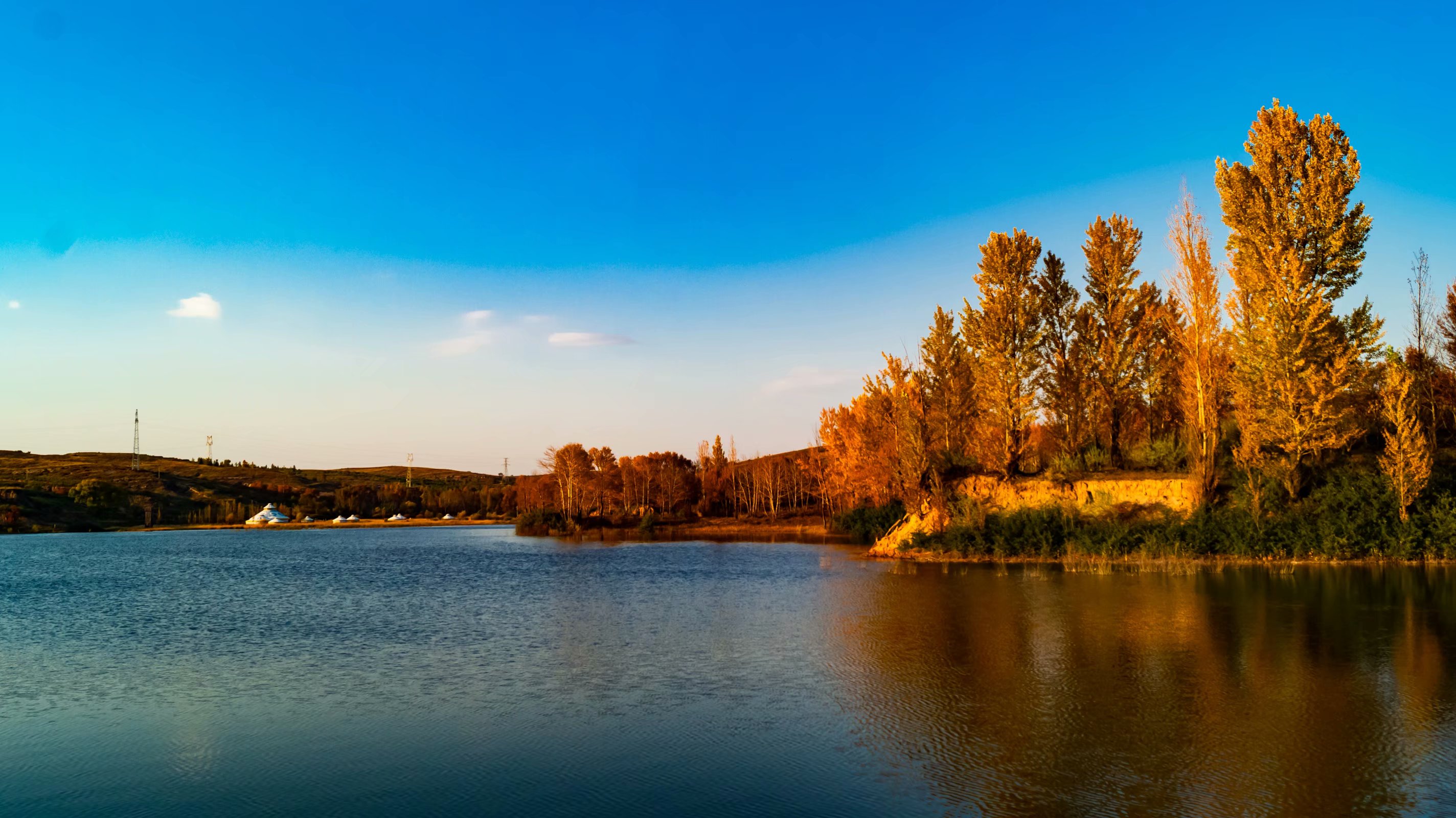 这所211师范院校地处广东，心理学荣获A+学科，就业优势明显