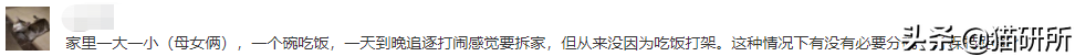 如何正确教育爱咬人的猫咪：有效制止乱咬行为的方法