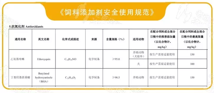 男人女人小孩咱都说过了，今天来说说这个重要家庭成员