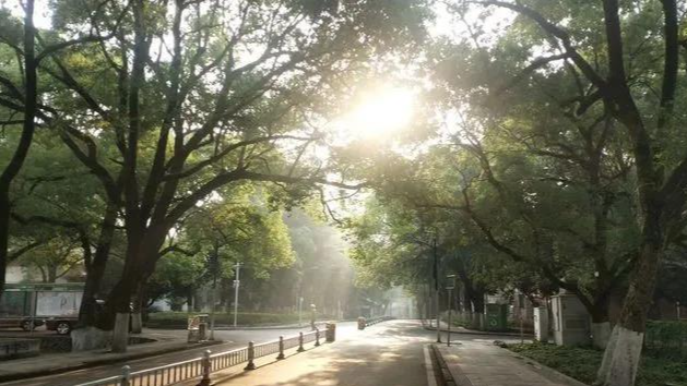 名校巡礼④ | 办学仅6年，冲进衡阳民校前四！博雅有多牛？