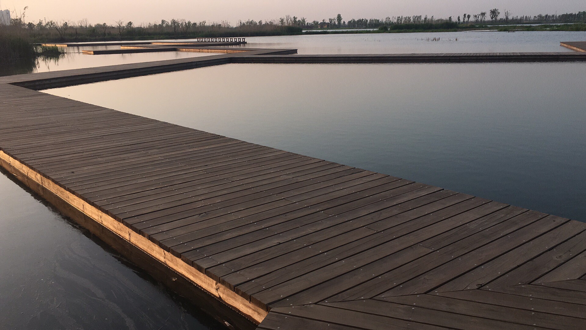 官宣！河南安徽两所高校准备更名大学，改名能提升办学实力吗？