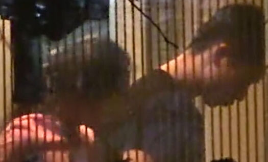 快男季军魏晨与女友领证结婚！两人相恋多年，女方长相甜美颜值高