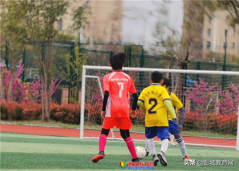 2021年云龙区“区长杯”校园足球联赛圆满收官