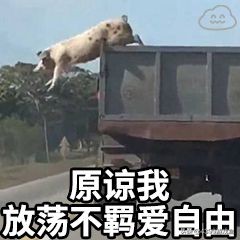 ʮСϷʮϷȫ-Ȼ