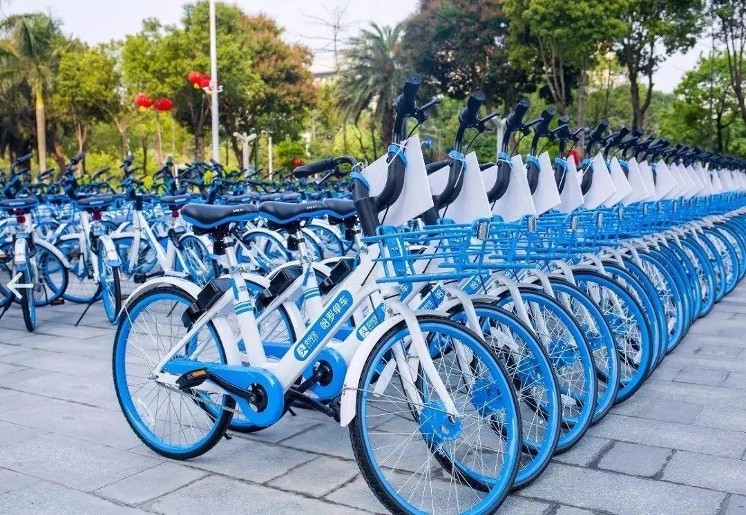 @阳江人，好消息！共享单车要回来了
