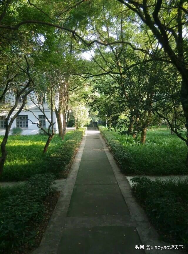 最美大学之旅——华中师范大学