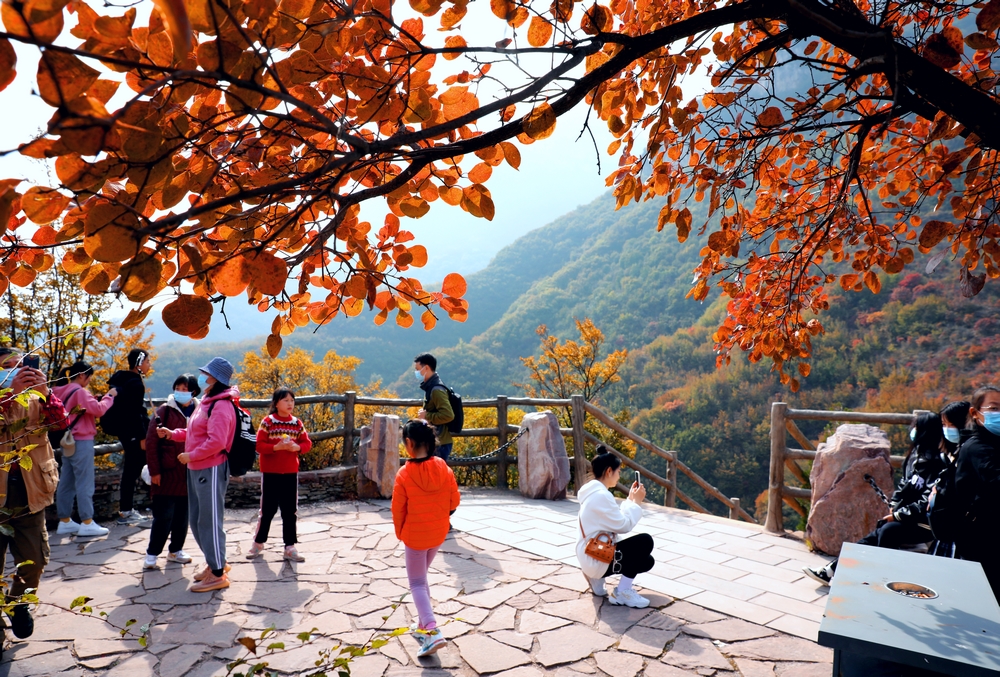 太行天路，五彩斑斓，峡谷如画，秋叶如诗