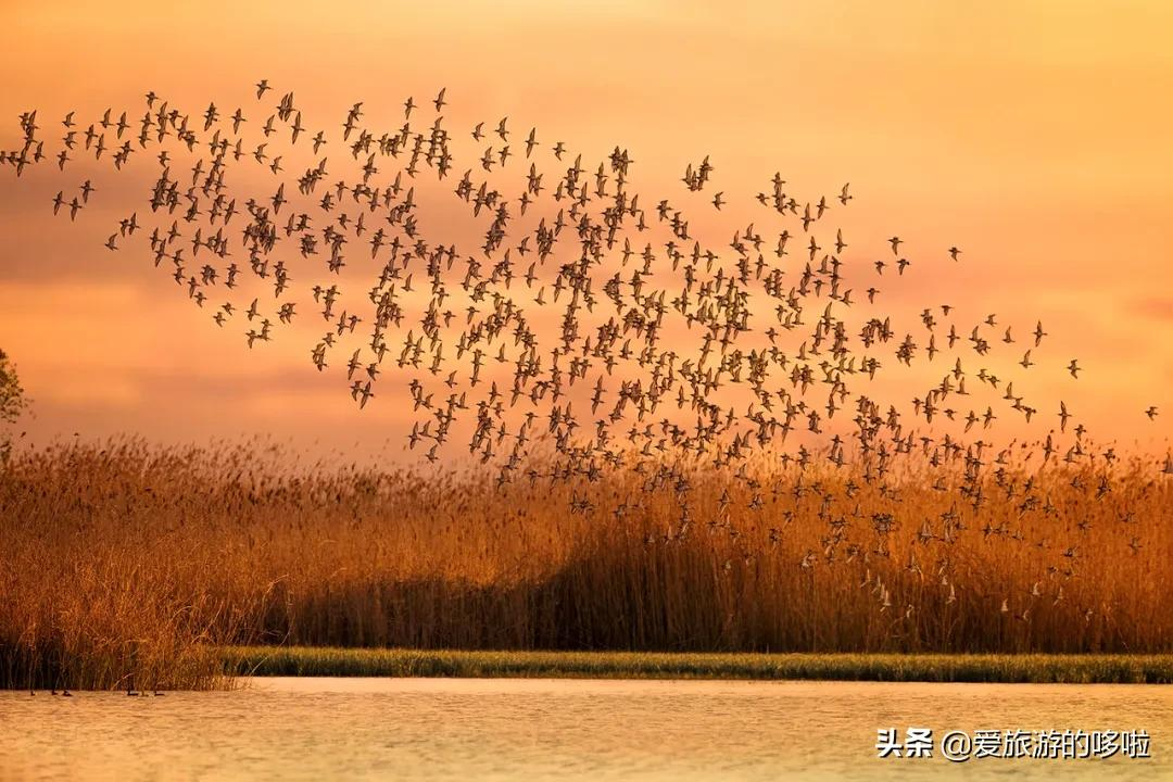 京杭大运河的秋，串联8城之美，惊艳千年时光