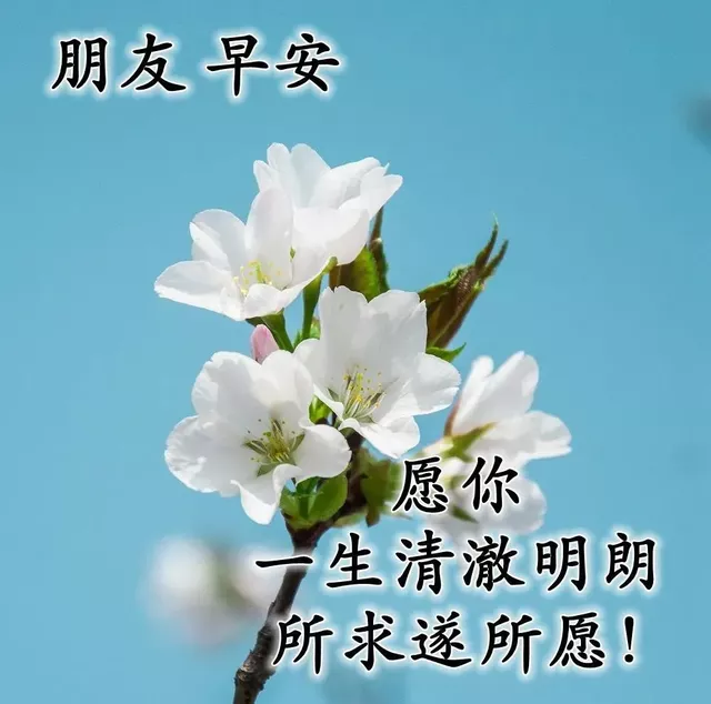 早安吉祥：愿你工作舒心，生活顺心，一切开心，早安