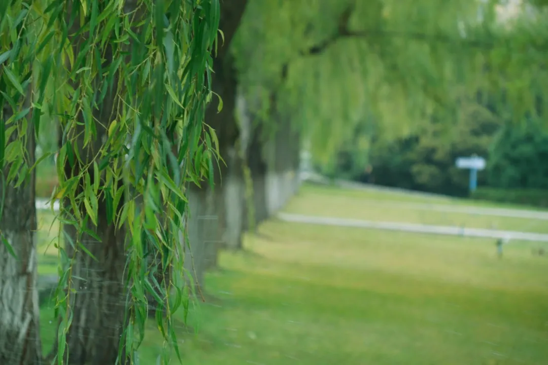 为什么要报考兰州大学？