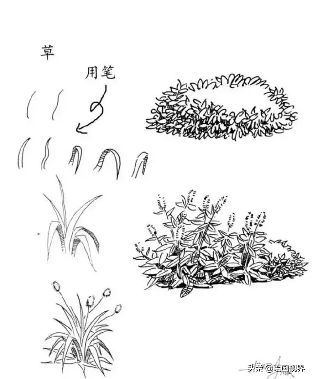 干货！教你15种速写植物配景画法，简单易学，学会画速写很简单
