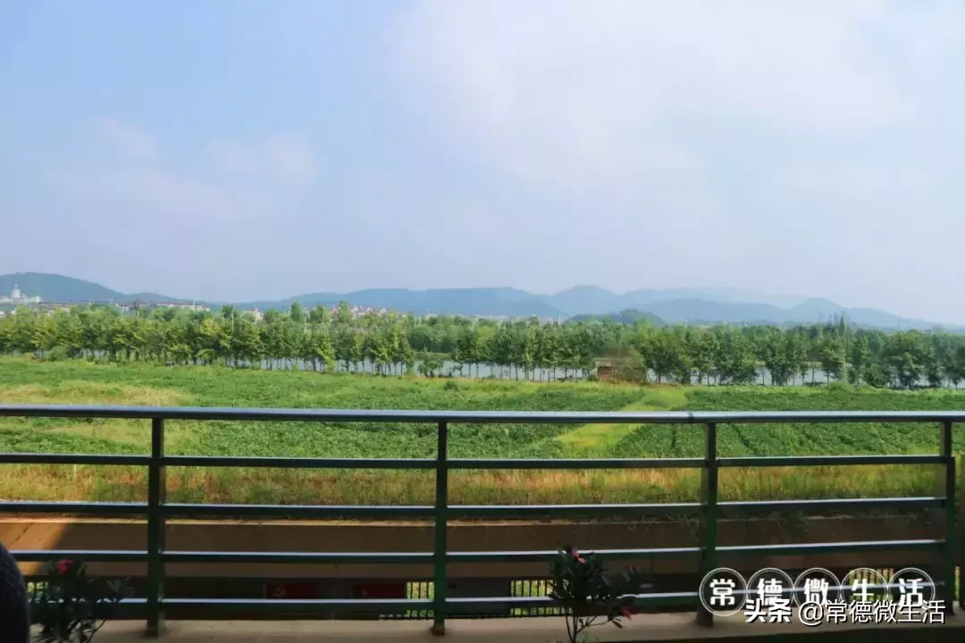我想和你在常德的养老院里慢慢变老