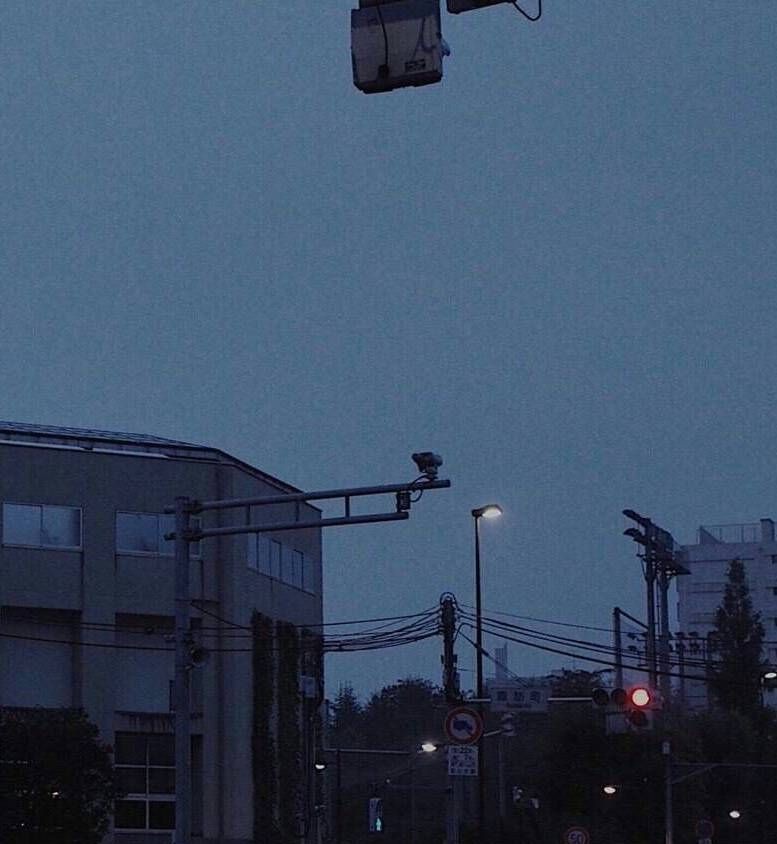 2020高考必备素材 《朗读者》120句精华摘抄，绝佳的高考作文素材