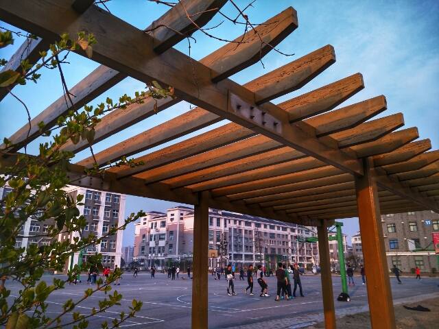 以大学命名的两所专科院校——开封大学、焦作大学2020招生计划