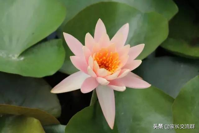 江南大学----一所可能“不适宜”学习的高校