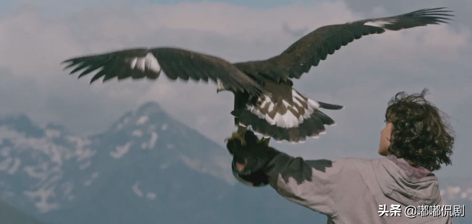 《追鹰日记》：最被低估的经典电影，你真的看懂了吗？
