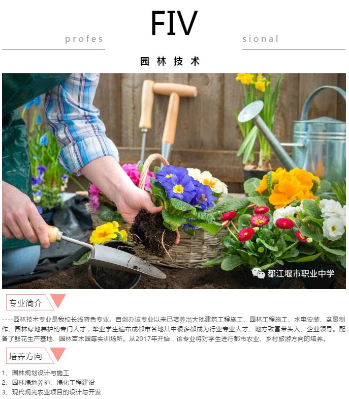 学费全免还能考本科，都江堰市职业中学2020年最全招生信息在这