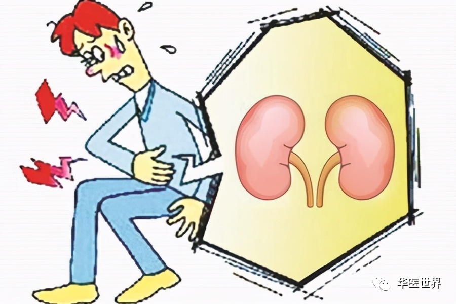 陈明教授：活用《伤寒》五苓散