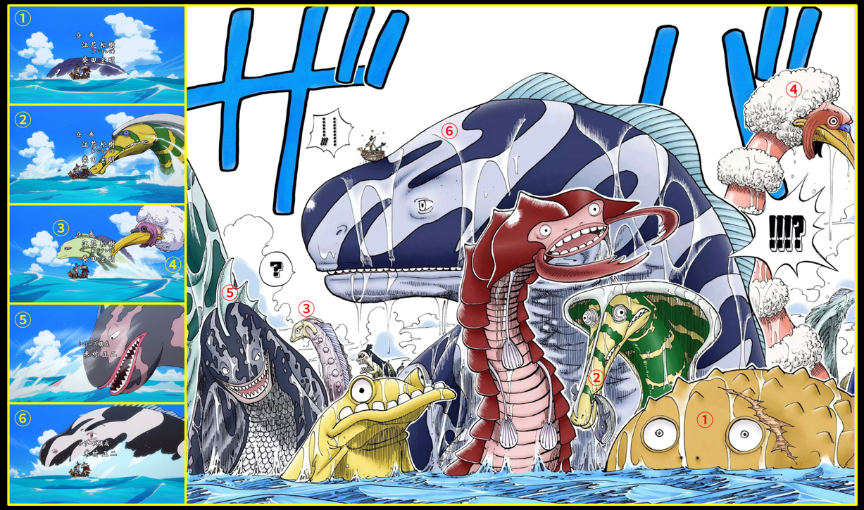 「流星电台」海贼王动画1000集精解帖