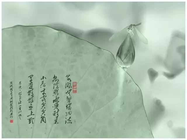 最是缠绵花间词，美到落泪