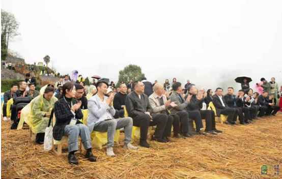 乡村振兴艺术“在场”成渝双城文化赋能——川音7件作品永久驻留重庆酉阳“花田”